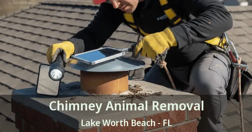 Chimney Animal Removal Lake Worth Beach - FL