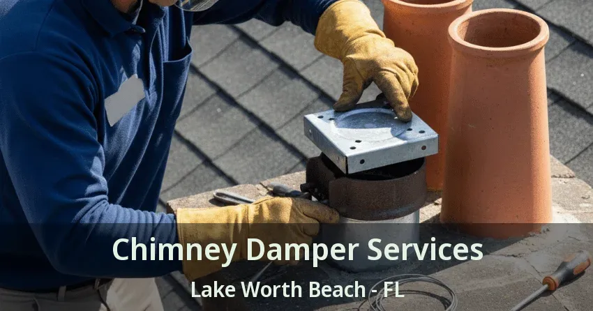 Chimney Damper Services Lake Worth Beach - FL