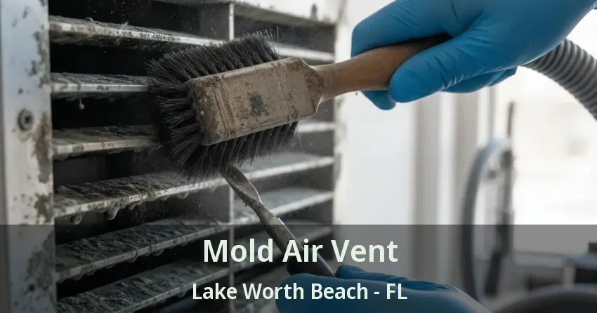 Mold Air Vent Lake Worth Beach - FL