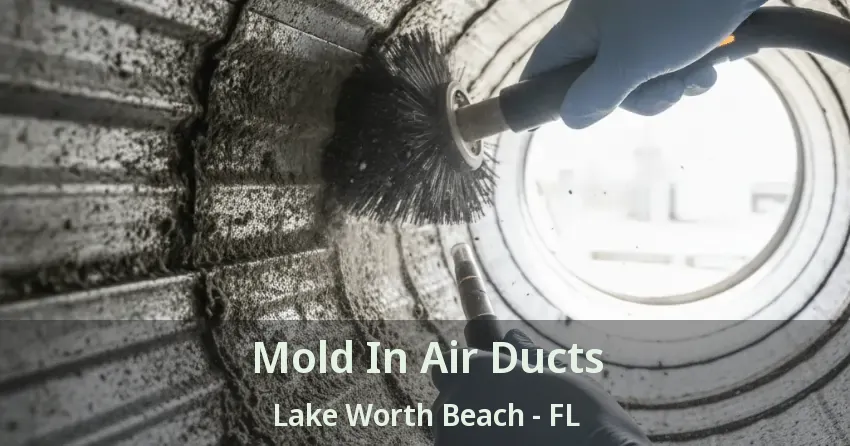Mold In Air Ducts Lake Worth Beach - FL