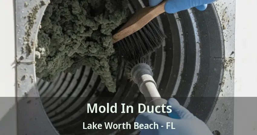 Mold In Ducts Lake Worth Beach - FL