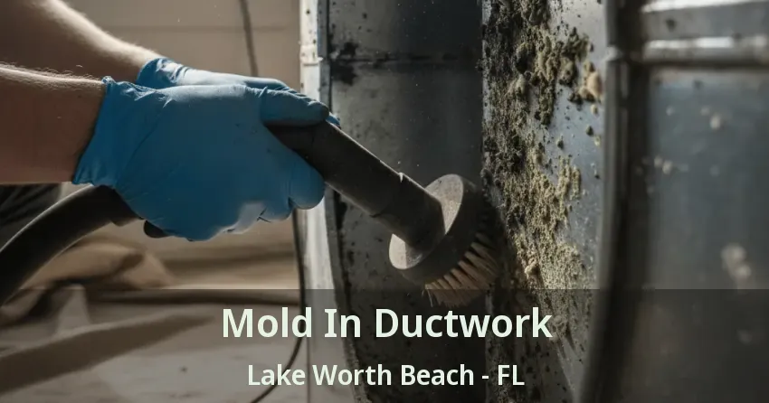 Mold In Ductwork Lake Worth Beach - FL