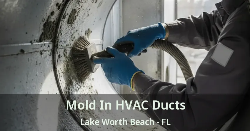 Mold In HVAC Ducts Lake Worth Beach - FL